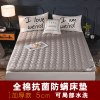 全棉床垫床褥1.8m床1.5m床双人垫被加厚褥子防滑保护垫