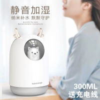 加湿器家用 usb迷你车载纳丽雅(Naliya)桌面办公室展会圣诞生日定制LOGO 白色