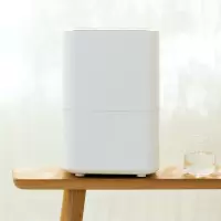 无雾加湿器纯净型蒸发式纳丽雅(Naliya)智能小型家用空调房卧室大容量 纯净型加湿器.