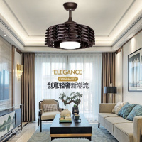 无叶吊扇灯轻奢客厅家用风扇一体吊灯纳丽雅(Naliya)现代吸顶餐厅卧室 电风扇 42寸/三色48w-吊杆/咖啡黑