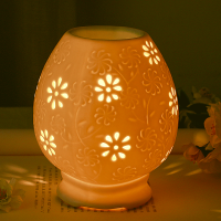 香薰灯陶瓷插电调光精油灯纳丽雅(Naliya)香薰灯卧室香薰院 绿顶雏菊(2灯泡1精油)