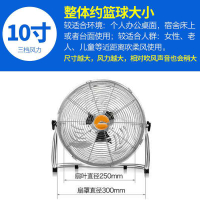 大功率趴地扇强力电风扇纳丽雅(Naliya)家用台式工业落地扇宿舍商用大风力爬地扇 10寸三档(银色)