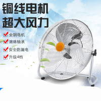 大功率趴地扇强力电风扇纳丽雅(Naliya)家用台式工业落地扇宿舍商用大风力爬地扇 14寸摇头趴地扇四档(黑色)