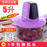 绞肉机家用电动不锈钢小型碎肉馅搅拌机多功能打蒜泥蒜蓉器绞菜机 [5升双开关]送原装一副刀头