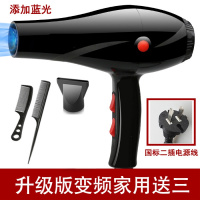 发廊电吹风机纳丽雅大功率2000W以上电风吹家用3000W理发店吹风筒 家用2400蓝光[送三]