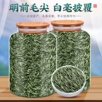 2024新茶毛尖茶叶信阳原产明前特级嫩芽浓香型绿茶散装毛峰茶