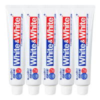 狮王(Lion) 日本进口white&white牙膏牙刷去烟渍洁净去牙结石清新口气 薄荷味 150g 五支装