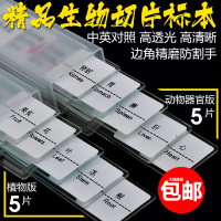 载玻片套装观察动物植物生物细胞切片玻片制作学生儿童显微镜标本