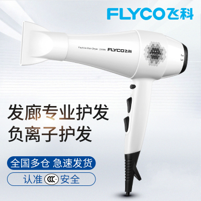 飞科(FLYCO)飞科电吹风机家用理发店风力大功率  学生宿舍发廊专用 白色