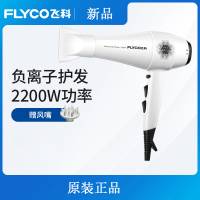 飞科(FLYCO)电吹风机家用理发店风力大功率  学生宿舍发廊专用 白色