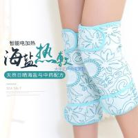 电热盐袋海盐粗盐 电加热护膝艾盐包艾灸温灸理疗包热敷袋 1对艾灸护膝