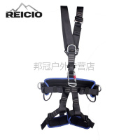 全身式欧式安全带带护腰安全带可脱卸安全带高空作业全身保险带 黑色