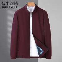 公牛欢腾2021进仕中老年男士外套春秋季休闲修身公务员中年立领爸爸装夹克