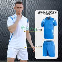 运动套装男夏季宽松跑步服速干透气短袖短裤翻领羽毛球服女运动装