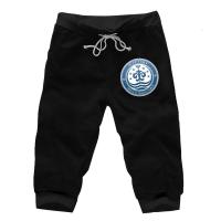 王的回归Scepter4标志宗像礼司青短裤动漫沙滩裤五分裤