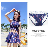 分体泳衣女两件套温泉性感泳装小胸聚拢游泳衣女保守