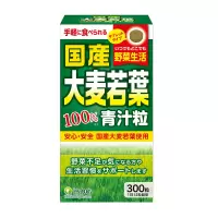 [青汁颗粒]ISDG 植物益生元青汁 日本进口青汁颗粒 膳食营养补充剂 300粒/瓶