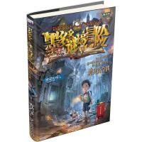 墨多多谜境冒险:阳光版?墨多多谜境冒险全7册（1-7）乌鸦城的诡局/黑贝街奇遇/隐匿的巫女面具/青铜地宫的献礼/消失的