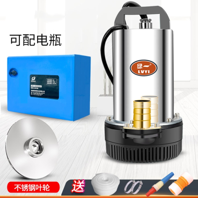 绿一(Lvyi)直流潜水泵12V24V48V60V伏电瓶车小型水泵电动车抽水泵农用抽水机