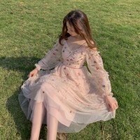 春装2019款重工网纱波点绣花V领高腰叠层仙女度假连衣裙