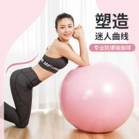 甄萌 瑜伽球加厚成人防爆孕妇助产平衡球儿童感统训练健身运动球套装