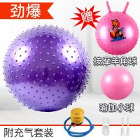 甄萌 瑜伽球加厚大龙球儿童感统训练球防爆球初学者按摩健身球送打气筒
