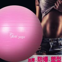 甄萌 加厚防爆瑜伽球初学者健身球瑜珈球球儿童感统训练平衡球