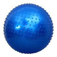 甄萌 大龙球儿童感统训练瑜伽球健身球减肥孕妇专用助产按摩球平衡