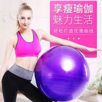 甄萌 承重防爆300斤健身球55CM65CM75CM85CM瑜伽球女加厚运动孕妇儿童