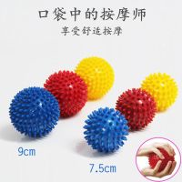 甄萌 女王操骨盆操瑜伽球 刺猬按摩球运动健身脚底按摩球筋膜球放松球