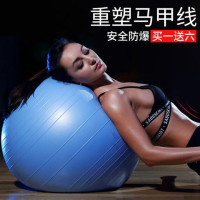 甄萌 瑜伽球加厚防爆减肥运动瘦身瑜珈球儿童孕妇分娩球健身球套装