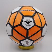 甄萌 五5号标准成人足球耐磨训练学生儿童礼物玩具宠物球送气针网气筒