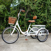 王太医24寸人力变速三轮车成人中老年脚踏自行车老人脚蹬代步单车