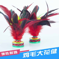 赠品评价后截图联系客服领取鸡毛毽子儿童小学生腱子毽球运动健子键子闪电客比赛专用成人健身