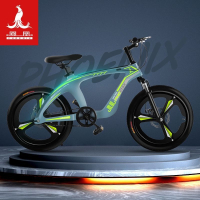 凤凰(PHOENIX)儿童自行车镁合金山地车一体轮减震双碟刹学生车