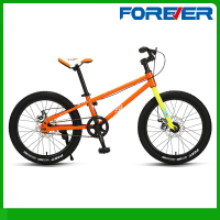 永久牌山地自行车1820寸男女孩青少年学生越野单车