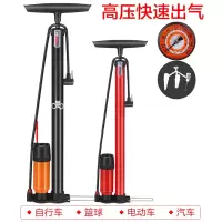 永久牌自行车家用便携式小电动电瓶通用充气管子泵篮球单车桶汽简