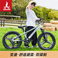 凤凰(PHOENIX)自行车儿童6-8-12岁小学生男孩中大童变速山地车女孩脚踏单车18寸