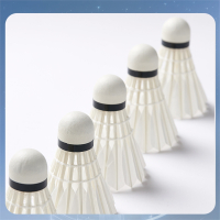 川崎羽毛球耐打王12只装鹅毛飞行稳定训练球专业比赛用球鸭毛星河