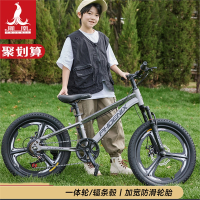 凤凰(PHOENIX)自行车儿童6-8-12岁小学生男孩中大童变速山地车女孩脚踏单车