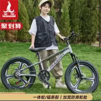 凤凰(PHOENIX)自行车儿童6-8-12岁小学生男孩中大童变速山地车女孩脚踏单车