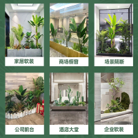 回固仿真绿植假植物大型室内景观楼梯下造景组合庭院布置室内装饰摆件