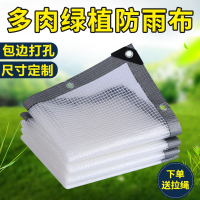 米魁透明防雨布加厚抗老化多肉绿植花架阳台庭院户外防晒耐高温布