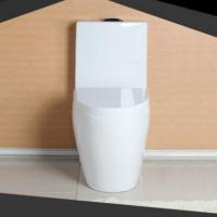 卫浴新款马桶坐便器升级版冲力节水静音防臭座便器智洁雪花釉脲醛盖板300坑距305mm