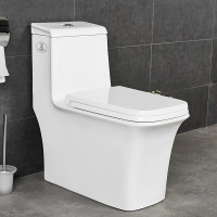马桶坐便器小户型卫浴喷射虹吸式节水抽水普通座便器1691马桶含角阀软管