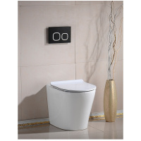 暗装靠墙式座厕入墙隐藏水箱出口欧洲家用落地马桶墙排后出水坐便器马桶+3003水箱水箱185mm