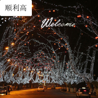 20米彩灯闪灯串灯圣诞LED装饰灯满天星星彩灯户外防婚庆灯串