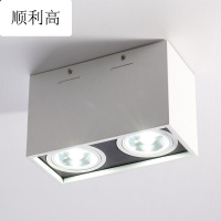 明装筒灯led双头射灯吸顶客厅过道天花灯方形COB格栅灯豆胆斗胆灯