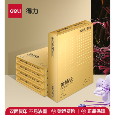 得力(deli)金佳铂复印纸双面打印A4打印用纸办公用品70克整箱5包装a4纸加厚款标书用纸