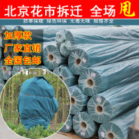 防寒冻绿化无纺布冬季园林树木育苗防风保暖包裹树木绿化带树罩
